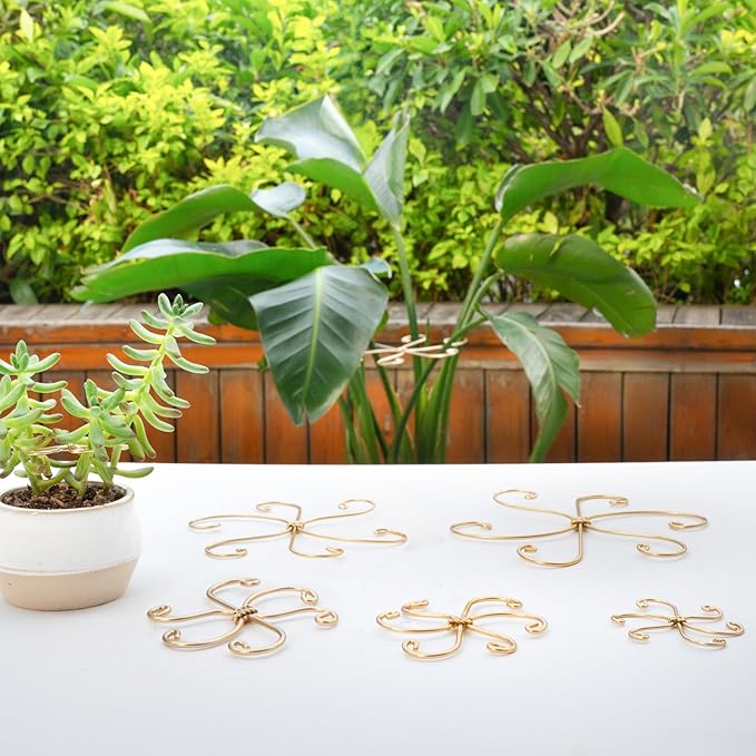 Monstera Plant Stem Support Set - 5 Durable Stabilizers (2.75"x2.75") for Indoor Plants, Leaf Holder & Cactus Stake - Keep Monstera Healthy & Upright - Ideal Gift for Plant Lovers