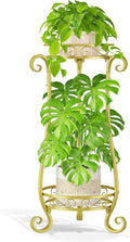 LASZOLA 2 Tier Gold Metal Plant Stand for Multiple Large Planters Indoor Outdoor Organizer, Heavy Duty Tall Flower Stand for Corner Patio Bathroom Office, Modern Sturdy Vertical Iron Rack, Cat Proof