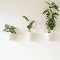 Make Good PlantPod Luxe Self-Watering Wall Planters (Set of 3) - Easy to Water and Install - Lightweight - Design Your Own Vertical Garden - Wall Planters for Indoor Plants