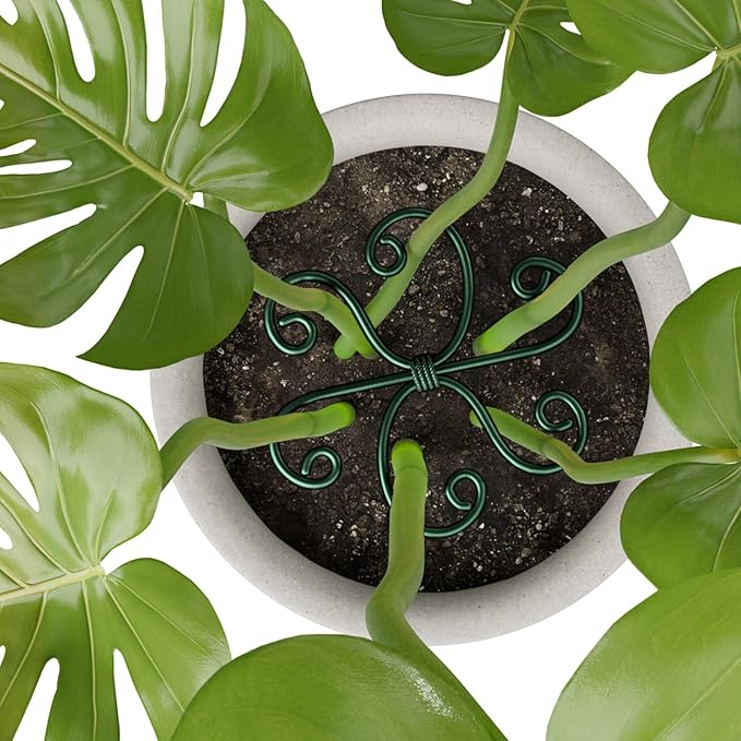 4PCS Green Iron Monstera Support, Uniquely Designed Plant Support Stakes for Indoor Plants, Stable Plant Stakes and Supports, Turtle Shell Bamboo Clamp Set for Thriving Growth