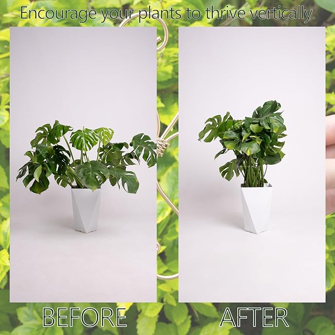 Monstera Plant Stem Support Set of 5 - Durable 7.5in Indoor Stabilizers for Fishbone Cactus - Enhances Growth & Home Decor - Ideal Plant Care Solution