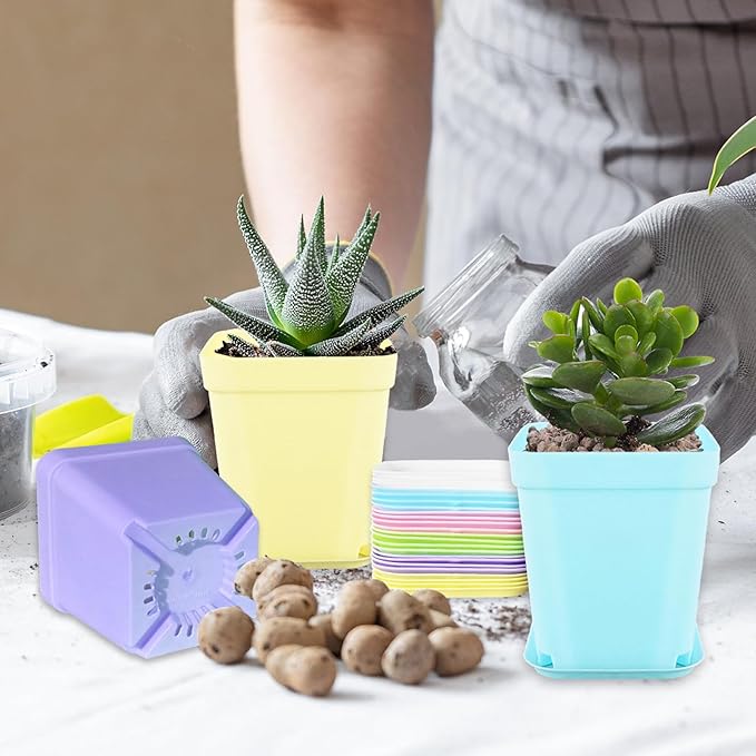 OJYUDD 24 Pack Multi Color Plastic Plant Pot,Colorful Plastic Square Pots,Mini Plastic Square Planters for Indoor Outdoor Plants Flowers,Garden,Office,Home Decor,with Pallet