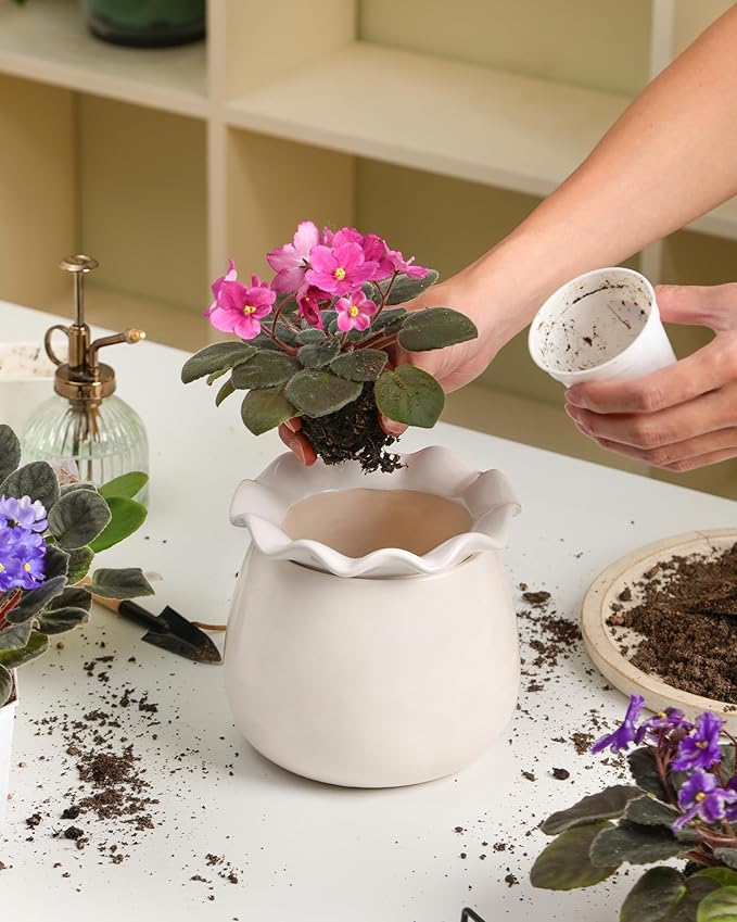 Self Watering Plant Pot, 6 Inch African Violet Pots Maintenance, Ceramic Self-Watering Planter for Indoor Plants - Ideal Flower Pot for Thriving Indoor Gardens, White