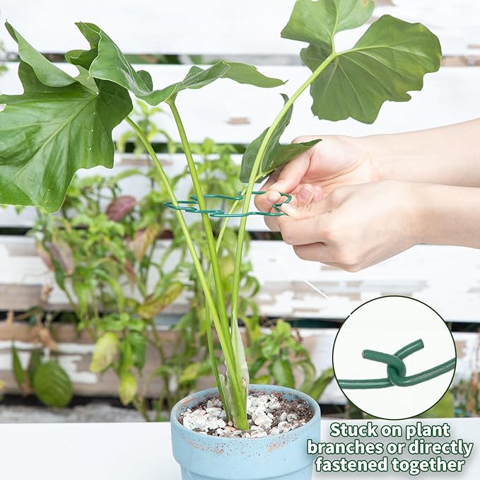 Monstera Plant Stem Support - 4.13 x 2.95 Inches 5 Pack Durable Leaf Holder for Climbing Plants, Ideal for Monstera & Vining Plants, Elegant Design for Plant Lovers