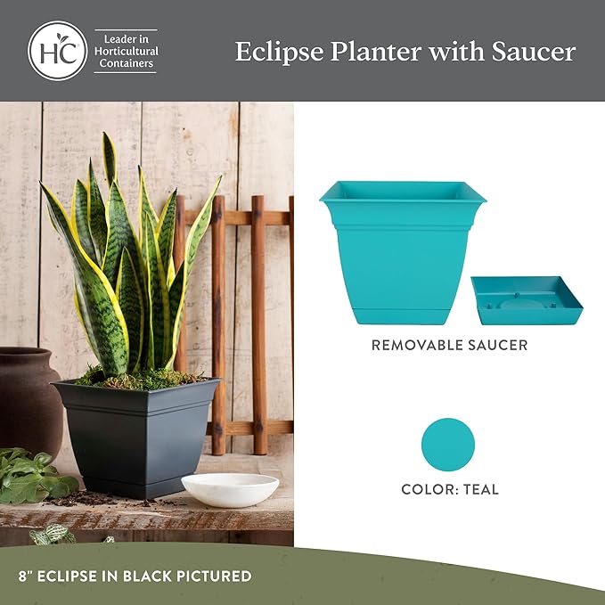 The HC Companies 6 Inch Eclipse Square Planter Pots with Drainage Holes & Attached Saucer, Lightweight UV-Resistant Plastic Indoor Outdoor Planters, 4-Pack Flower Pots for Garden & Home Decor, Teal