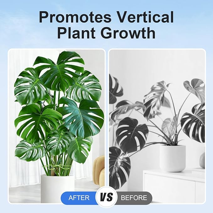 20pcs Plant Stem Support, Unique Design Stem Supports for Indoor Plants, Monstera Plant Support for Thriving Growth, Four Different Size Combinations Indoor Plants Accessories (Green)