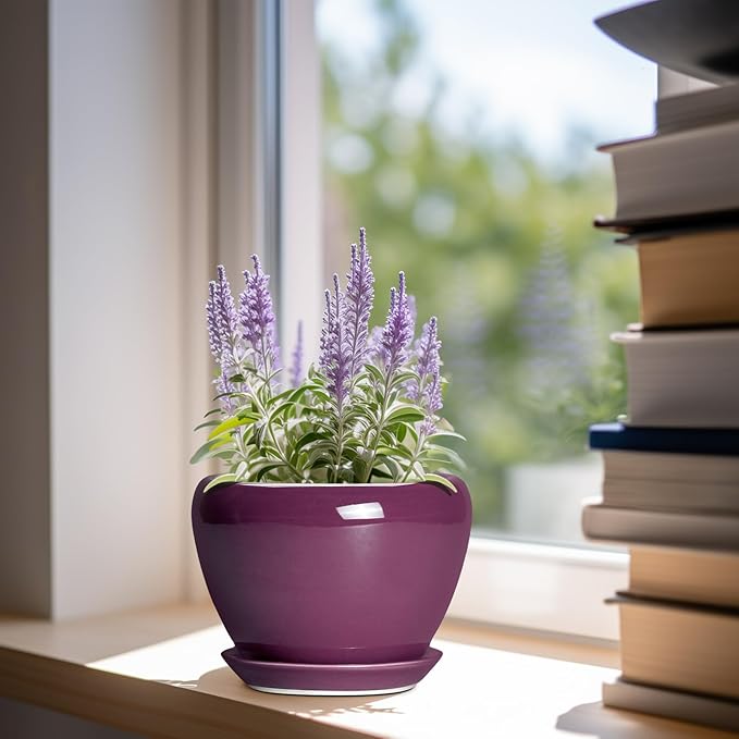 Ceramic Pots for Plants 6 Inch - Ceramic Plant Pots with Drainage Hole and Saucer, Glaze Round Planter for Succulent Plants, Gifts for Plant Lovers, Garden Home Decor, Purple