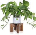 Plant Stand, Indoor/Outdoor Wood Plant Holder, Single Flower Pot Stand, Sturdy Planter Stands (Walnut, Fit 2.5-6 inch pots)