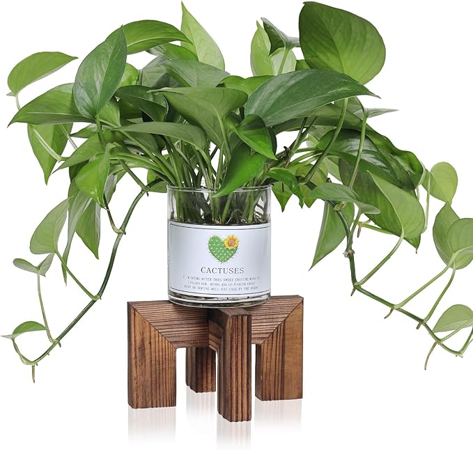 Plant Stand, Indoor/Outdoor Wood Plant Holder, Single Flower Pot Stand, Sturdy Planter Stands (Walnut, Fit 2.5-6 inch pots)