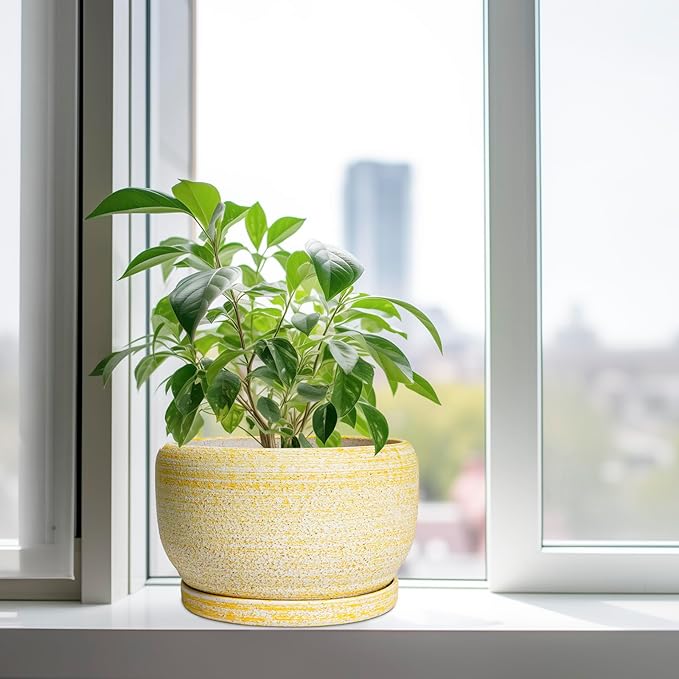 SQOWL Ceramic Planters for Indoor Plants - 10 Inch Plant Pot with Drainage Hole and Saucer, Round Ceramic Flower Pot Outdoor, Decorative Large Planter, Office Decor, Gifts for Women Men, Yellow