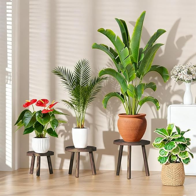 3 Pack Plant Stand Indoor Outdoor Mid-Century Modern Plant Stool Wooden Plant Pot Holder Home Decor for Gardening Living Room,Balcony,Office (Heavy Burnt Color, 3 Pack)