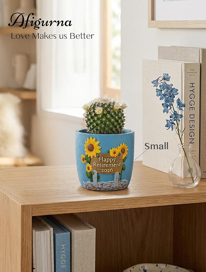 Retirement Gifts for Woman 2026: Happy Retirement Gifts for Women Nurse Teacher Coworker - Unique Retired Garden Gifts for Decoration - Hand-Painted Plant Pot Present with Gift Box and Card