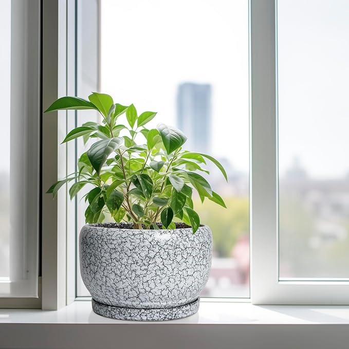 SQOWL Ceramic Planters - 10 Inch Ceramic Flower Pot with Drainage Hole and Saucer, Decorative Plant Pot Indoor, Round Large Planter Outdoor, Bathroom Decor, Gifts for Plant Lovers, Black and White