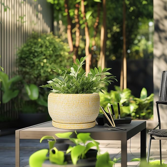 SQOWL Ceramic Planters for Indoor Plants - 10 Inch Plant Pot with Drainage Hole and Saucer, Round Ceramic Flower Pot Outdoor, Decorative Large Planter, Office Decor, Gifts for Women Men, Yellow