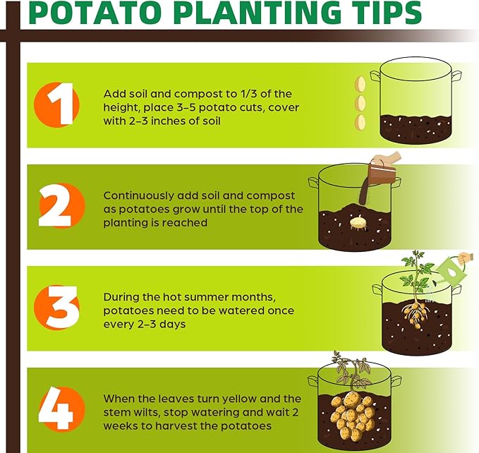 5 Pack 3 Gallon Grow Bags, Thickened Nonwoven Fabric Planter Pots with Handles, Heavy Duty 300G Garden Pots for Tomato, Potato and Vegetable