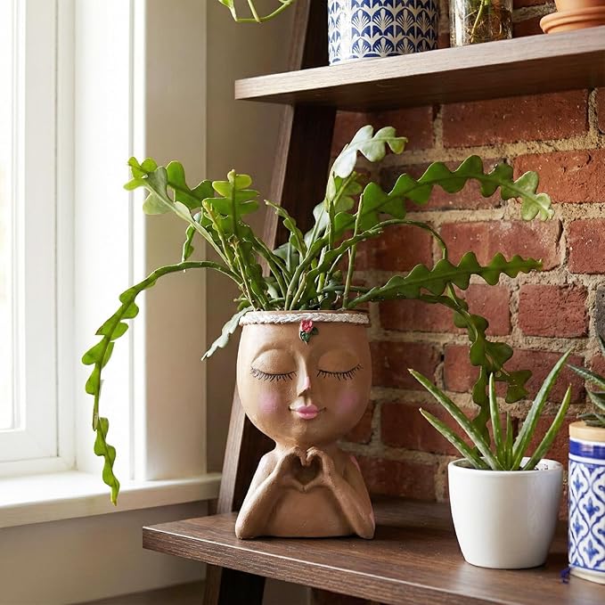 Face Planter Pot with Heart Hands, Resin Head Planter for Indoor Plants, Cute Succulent Pots with Drainage Hole, Gardening Gifts for Women Mom Teacher, 7.3" Home Decor (Brown)