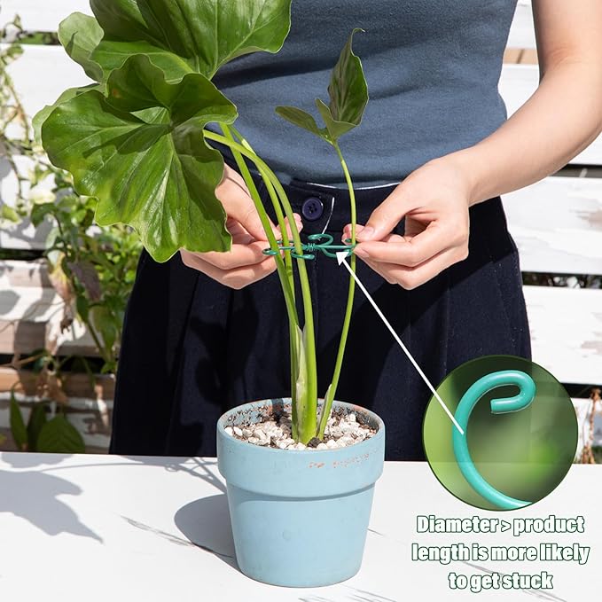 Monstera Plant Stem Support - Set of 5 Sturdy Indoor Support Sticks for Monstera & Climbing Plants - Essential Growth Stabilizers for Leaf Support - Easy-to-Use Gardening Accessories