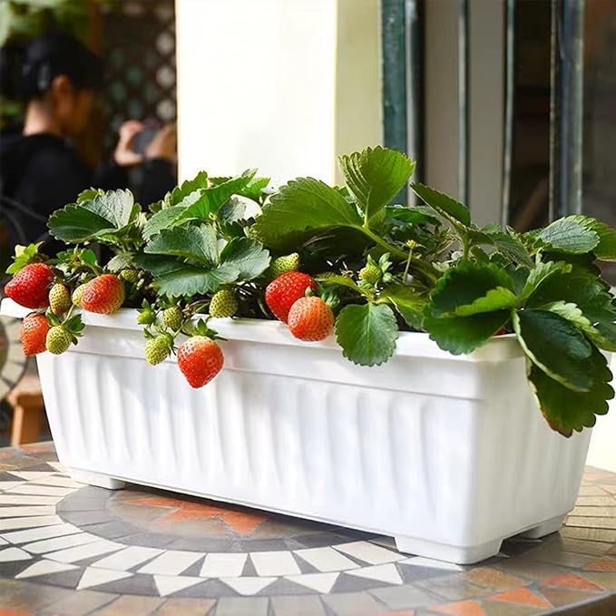 6 Packs Window Box Planter, 17 Inches Flower Window Box Rectangular Plastic Vegetable Planters with Trays for Windowsill, Patio, Garden, Balcony, Porch White
