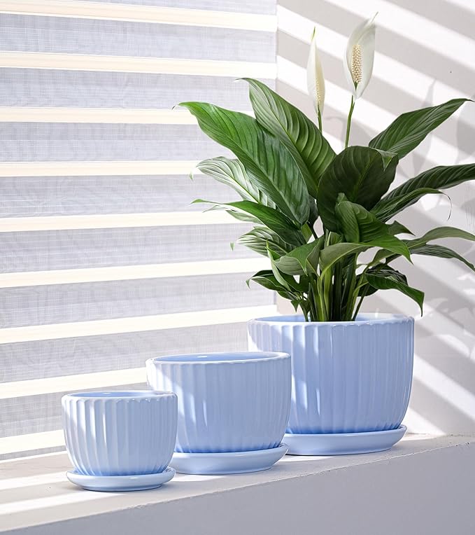 Ton Sin Sky Blue Ceramic Flower Pots, 4"+5"+6" Inch Small Succulent Planters with Drainage Hole,Modern Indoor Decorative Plant Pots Set of 3,Garden Pots with Saucer(Blue)