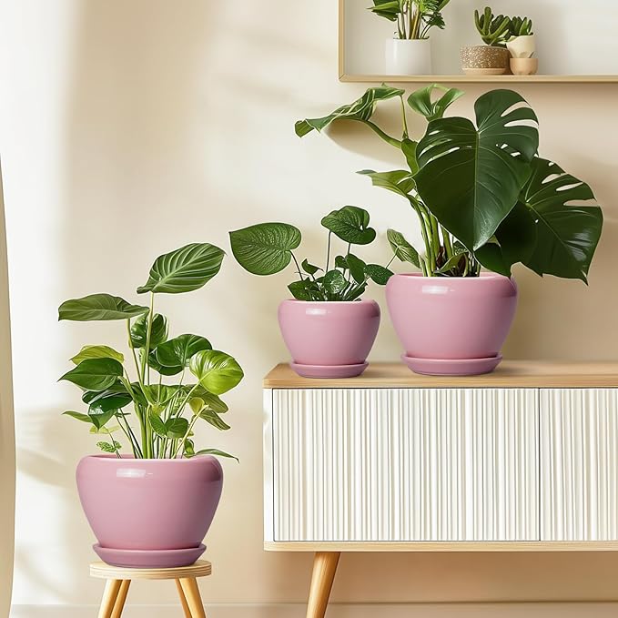 Ceramic Modern Glaze Succulent Planter Pot with Drainage Hole and Saucer 8 Inch Round Flower Plant Pot for Indoor Outdoor Herb Snake Plants, Pink