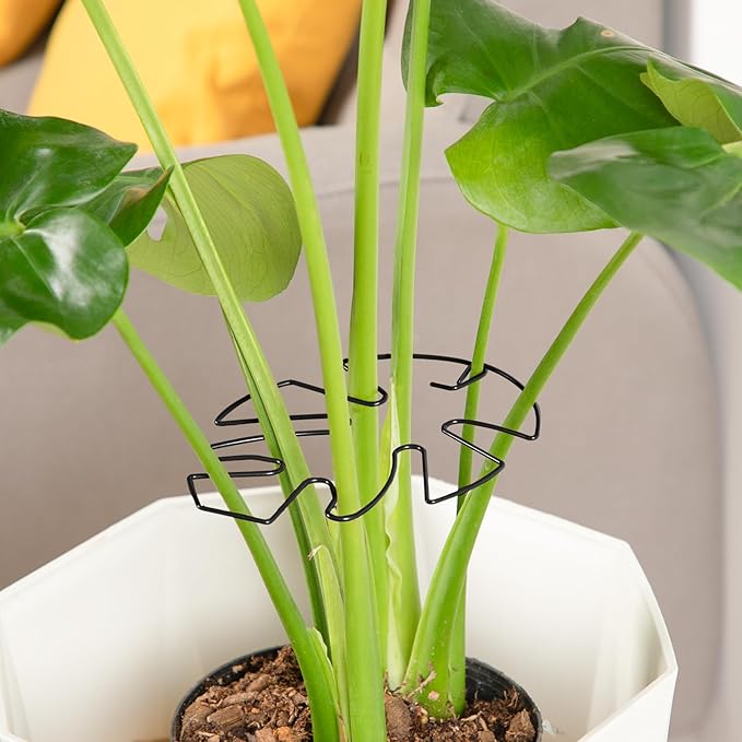 6PCS Iron Monstera Plant Support, Uniquely Designed Indoor Plant Accessories, Stable Plant Support Stakes for Indoor Plant, Turtle Shell Bamboo Clamp Set for Thriving Growth