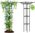 Garden Trellis for Climbing Plants Outdoor, 65 Inch Mushroom Top Trellis for Climbing Plants, Plant Trellis Support for Potted Plants Climbing Vine Rose Clematis Vegetable Trellis, 1 Pack (1)
