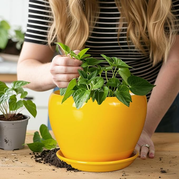 8 Inch Plant Pot - Glaze Modern Round Ceramic Planter for Indoor Outdoor Plants with Drainage Hole and Saucer for Home Patio Room Office Decor, Yellow