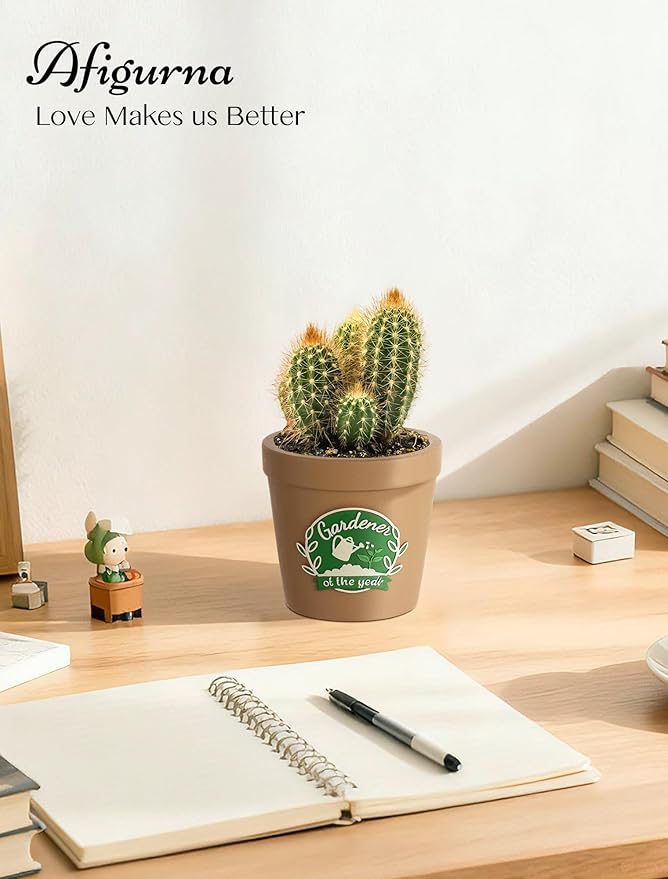 Gardening Gifts for Women: Hand-Painted 3D Art Cute Succulents Planter - Funny Garden Gifts for Plant Lovers Gardeners Mom Grandma - Cool Plant Pot Present for Christmas Birthday Mother's Day