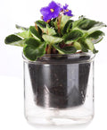 4 Inch Self Watering Pot,African Violet Pot,Bottom Watering Glass Planter for Indoor Plants and Progagation