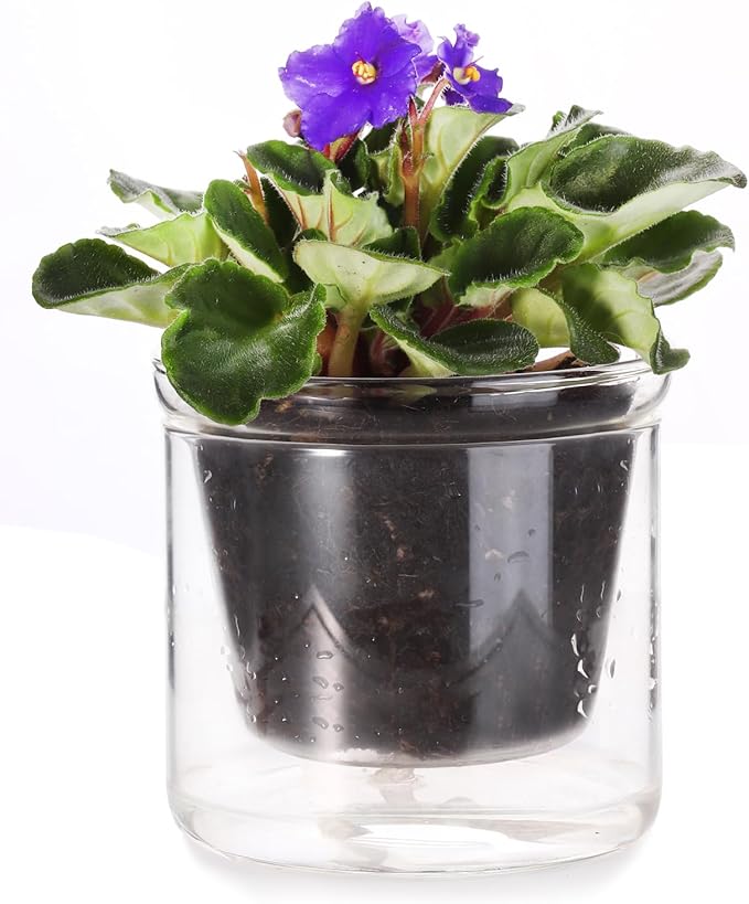 4 Inch Self Watering Pot,African Violet Pot,Bottom Watering Glass Planter for Indoor Plants and Progagation