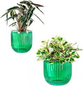 Melphoe Self Watering Pots for Indoor Plants Planter, 8.3/5.3 Inch 2 Pack Planters Self Watering Plant Pots for Flower, Houseplants, Succulent, African Violets and Cactus with Drainage