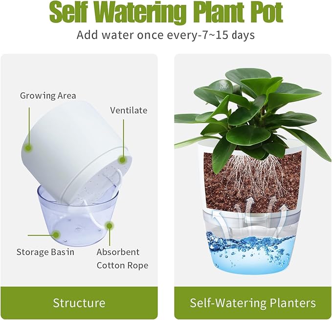 6 Inch Self Watering Plastic Plant Pots for Indoor Plants - 3 Pack White Orchid Planters with Wick Ropes & Drainage Holes, Modern Decorative Garden Pots with Water Reservoir
