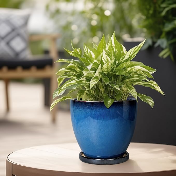Ceramic Planters for Indoor Plants - 6.3 Inch Plant Pot with Drainage Hole and Saucer Round Modern Planter Home Garden Patio Decor Blue