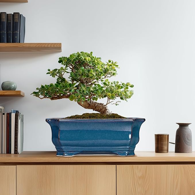 Bonsai Tree Pot - 13.7 Inch Large Ceramic Succulent Planter for Indoor Outdoor, Rectangle Plant Pot with Drainage Hole, Decorative Flower Pots, Home Decor, Gifts for Plant Lovers, Retro Blue