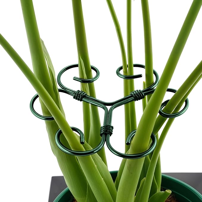 4PCS Green Iron Monstera Support, Uniquely Designed Plant Support Stakes for Indoor Plants, Stable Plant Stakes and Supports, Turtle Shell Bamboo Clamp Set for Thriving Growth