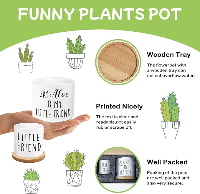 Say Aloe to My Little Friend Planter Pot, Funny Plant Pots, Aloe Plant Pot Succulent Pots with Tray Set of 2 Flower Pots Indoor Pot - Without Plants, Office Home Windowsill Gifts (No Plant)