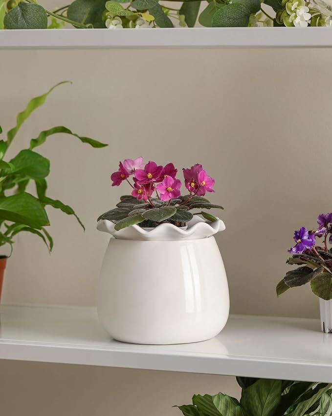 Self Watering Plant Pot, 6 Inch African Violet Pots Maintenance, Ceramic Self-Watering Planter for Indoor Plants - Ideal Flower Pot for Thriving Indoor Gardens, White