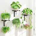 iDavosic.ly Wall Plant Holder Set of 3 for Indoor Outdoor, Metal Hanger with 3 Hooks, Floating Flower Display Stand for Window, Space Saving & Easy to Assemble (Pots/Chains/Plants Not Included)