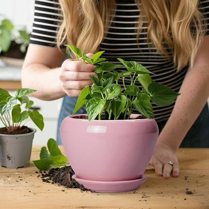 6 Inch Plant Pot - Ceramic Pot for Indoor Plants, Glaze Modern Decorative Round Ceramic Planter with Drainage Hole and Saucer, Plant Lover Gifts, Home Garden Room Office Decor, Pink