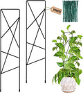 17.5 Inch Indoor Plant Trellis for Climbing Plants,Metal Trellis,Small Garden Trellis for Potted Plants,Plant Stakes for Indoor Plants Accessories Hoya,Flower,Plant Support (Star-Metal)