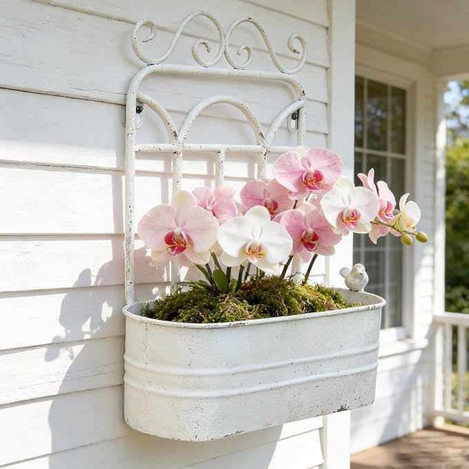 Rustic Metal Wall Planter Vintage Wall Mounted Flower Pot Distressed Wall Hanging Plant Basket Farmhouse Wall Decor for Indoor Outdoor Garden Home Yard (White)
