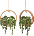 Floweroyal 2pcs Artificial Succulents Hanging Plants 12.2'' Fake String of Pearls in Pot with 8.3'' Lanyard for Indoor Outdoor Wall Decor（Wood Color）.