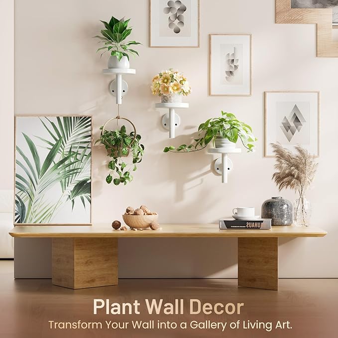 YUOROS 3 Pack Wall Planters for Indoor Plants Hanging Shelf Wall Mounted Plant Hanging Holder (White)