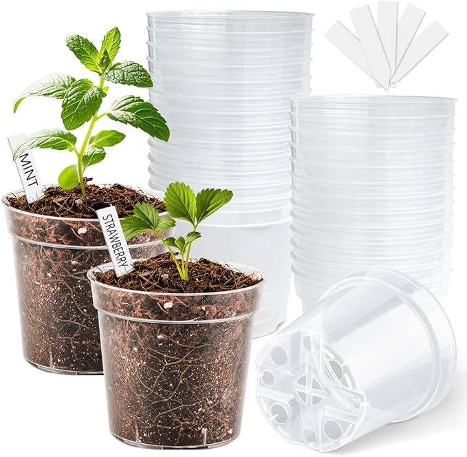 4 Inch Clear Nursery Pots for Plants, Plastic Plant Pot with Drainage Holes, Sturdy Seed Starter Pots, Small Transparent Seedling Pots with Plant Labels and Soil Screens, Gardening Gifts(30 Pack)