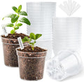 4 Inch Clear Nursery Pots for Plants, Plastic Plant Pot with Drainage Holes, Sturdy Seed Starter Pots, Small Transparent Seedling Pots with Plant Labels and Soil Screens, Gardening Gifts(30 Pack)
