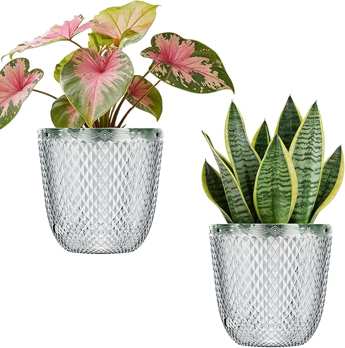 QCQHDU 2 Pack Self Watering Pots, 5.7 Inch Flower Pots with Drainage Holes and Water Filling Port, Garden Planter for Indoor Outdoor Plants (Clear)
