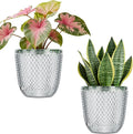 QCQHDU 2 Pack Self Watering Pots, 5.7 Inch Flower Pots with Drainage Holes and Water Filling Port, Garden Planter for Indoor Outdoor Plants (Clear)