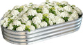 Galvanized Raised Garden Bed Outdoor, Large Raised Bed for Gardening, 6x3x1ft Oval Metal Planter Box for Vegetables, Fruits, Flowers, Silver