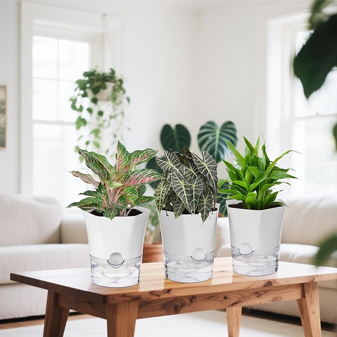 KIMCHOMERSE Self Watering Plant Pots, 6 Inch Orchid Pots, 3 Pack Flowers Pot Indoor Planter Pots with Tray for Spider Plant, Orchid, African Violet -White