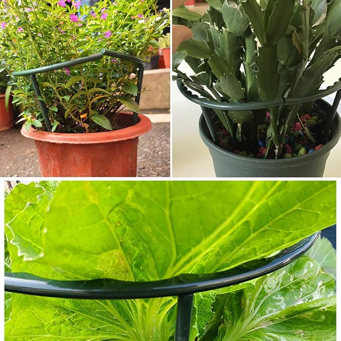 Mwellewm 10 Pack Plant Support Plant Stakes Metal Half Round Search Support Ring Small Plastic Cage Holder Short Stem Flower Pot Climbing Trellis for House Flower Vegetable Indoor Leafy(5.7 x 5.9nch)